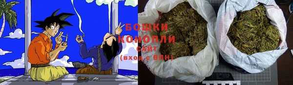 ПСИЛОЦИБИНОВЫЕ ГРИБЫ Ельня