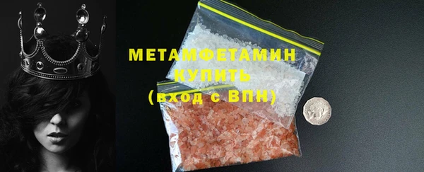 прущие грибы Елизово
