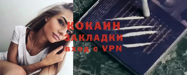 прущие грибы Елизово
