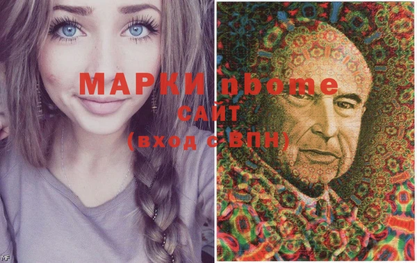 прущие грибы Елизово