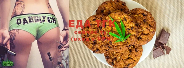 ПСИЛОЦИБИНОВЫЕ ГРИБЫ Ельня