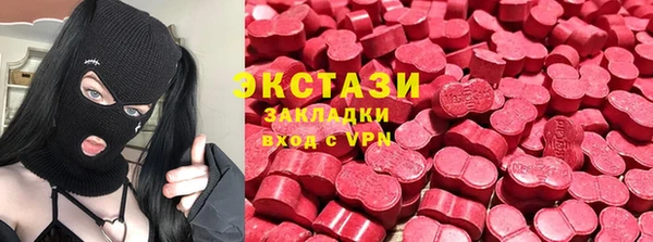 прущие грибы Елизово