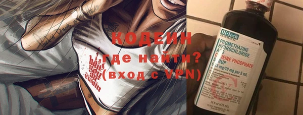 прущие грибы Елизово