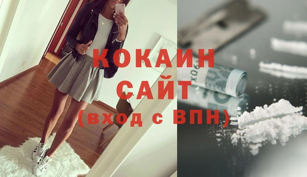 прущие грибы Елизово