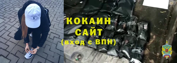 ПСИЛОЦИБИНОВЫЕ ГРИБЫ Ельня