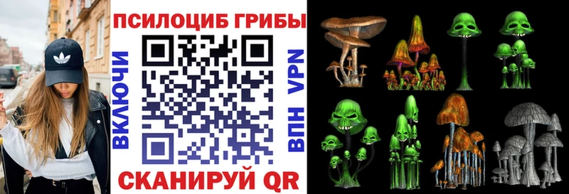 Купить закладки  Долинск  Галлюциногенные грибы Psilocybine cubensis 